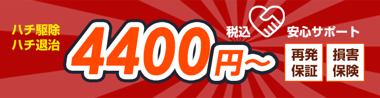 蜂駆除・蜂退治、税込4,400円～。再発保証あり。損害保険加入済みの安心体制です！