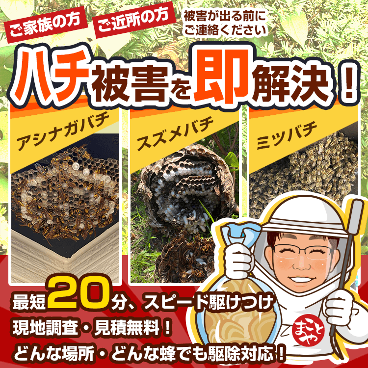 蜂被害を即解決！関東エリアの蜂・蜂の巣 のお悩み、お任せください！