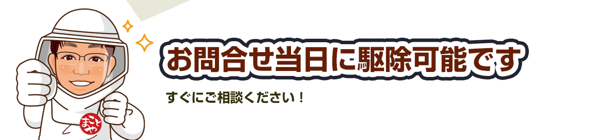 お問合せ当日、駆除可能です。すぐにご相談ください。