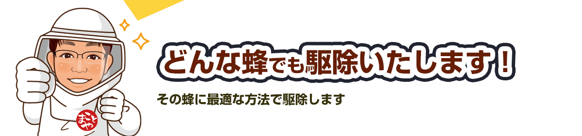_トップページ関東エリアで、どんな蜂でも駆除します！プロにお任せください！