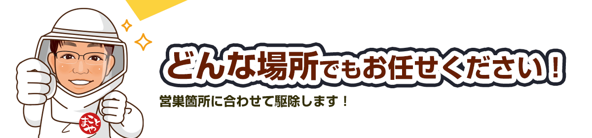_トップページ関東エリアの蜂・蜂の巣、どんな場所でもお任せください！営巣箇所にあわせて駆除します！