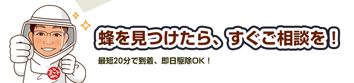 蜂を見つけたらすぐご相談を！_トップページ関東エリアは、最短20分で到着、即日駆除可能です。