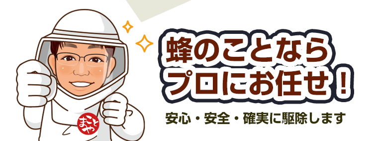 _トップページ関東エリアの蜂・蜂の巣 のお悩み、お任せください！