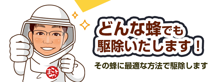 _トップページ関東エリアで、どんな蜂でも駆除します！プロにお任せください！