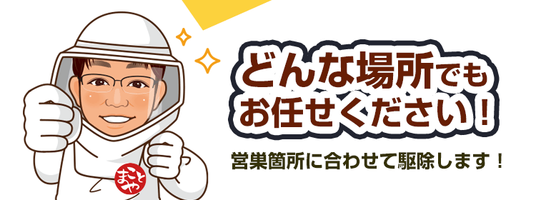 _トップページ関東エリアの蜂・蜂の巣、どんな場所でもお任せください！営巣箇所にあわせて駆除します！