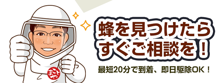 蜂を見つけたらすぐご相談を！_トップページ関東エリアは、最短20分で到着、即日駆除可能です。