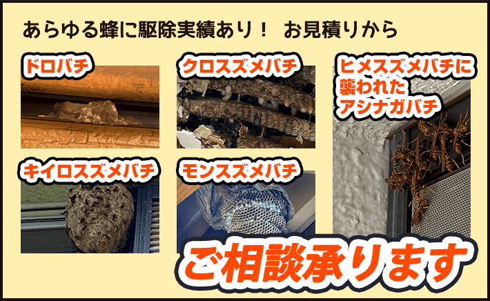 ドロバチ、クロスズメバチ、ヒメスズメバチ、キイロスズメバチ、モンスズメバチ、オオスズメバチなど、あらゆる蜂に駆除実績あり。ご相談承ります！