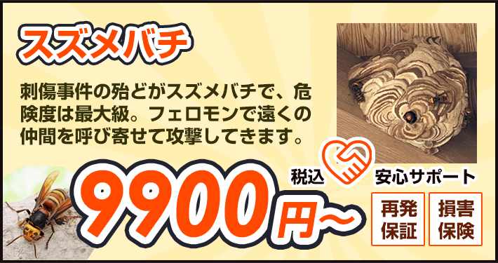 スズメバチ：刺傷事件の殆どがスズメバチで、危険度は最大級。フェロモンで遠くの仲間を呼び寄せて攻撃してきます。