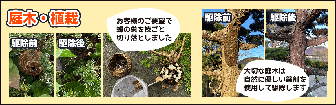 庭木・植栽：お客様のご要望に応じ、蜂の巣を枝ごと切り落としたり、自然に優しい薬剤を使用して駆除したりします。