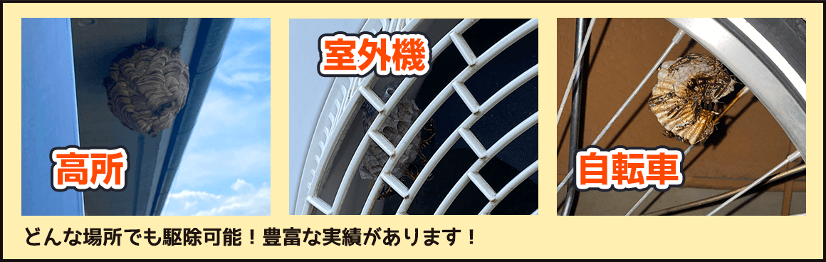 高所や室外機、自転車など、どんな場所でも駆除可能です。豊富な実績があります！