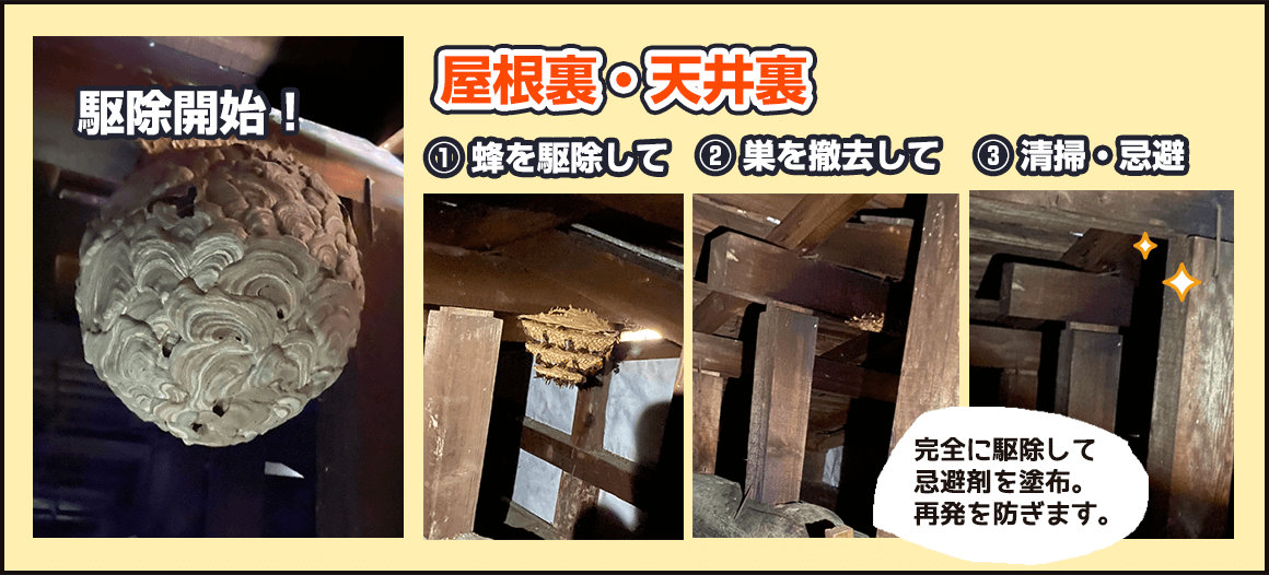 屋根裏・天井裏：蜂を駆除してから巣を撤去し、カスの清掃を行った後、忌避剤を散布し、再発を防ぎます。