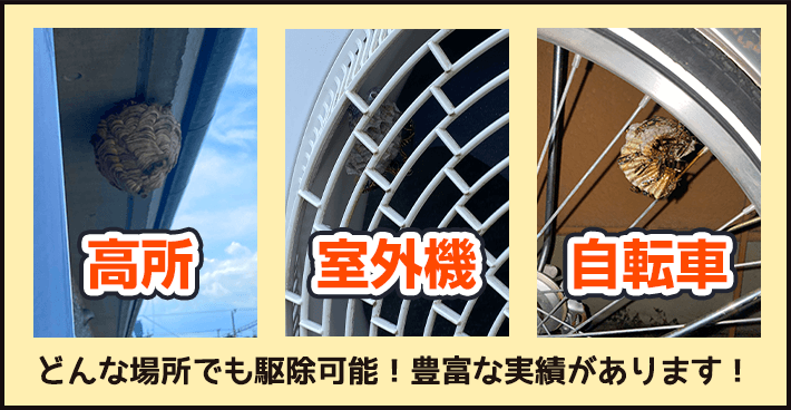 高所や室外機、自転車など、どんな場所でも駆除可能です。豊富な実績があります！
