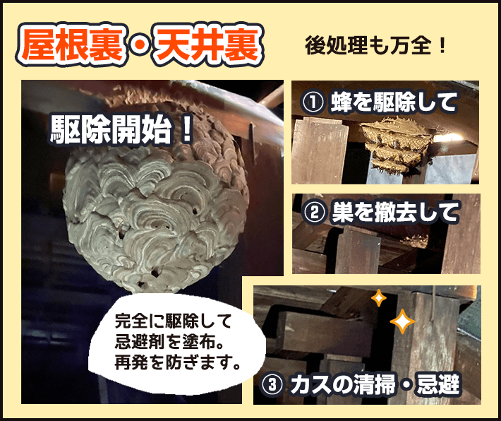 屋根裏・天井裏：蜂を駆除してから巣を撤去し、カスの清掃を行った後、忌避剤を散布し、再発を防ぎます。