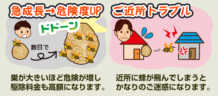 蜂の巣は数日で突然大きくなることもあり、刺されたりなどの危険が増すばかりでなく、駆除費用も高額になります。また、近所に蜂が飛んでいきトラブルになるケースもあります。