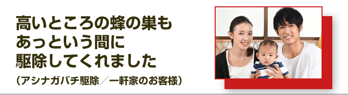 高いところの蜂の巣もあっという間に駆除してくれました。（アシナガバチ駆除／一軒家のお客様）