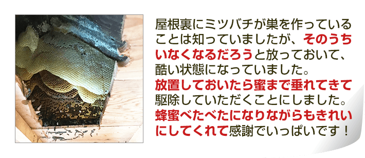 屋根裏にミツバチが巣を作っていることは知っていましたが、そのうち
いなくなるだろうと放っておいて、酷い状態になっていました。放置しておいたら蜜まで垂れてきて駆除していただくことにしました。蜂蜜べたべたになりながらもきれいにしてくれて感謝でいっぱいです！