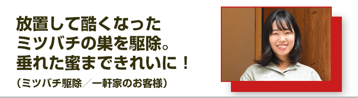 放置して酷くなったミツバチの巣を駆除。垂れた蜜まできれいに！（ミツバチ駆除／一軒家のお客様）