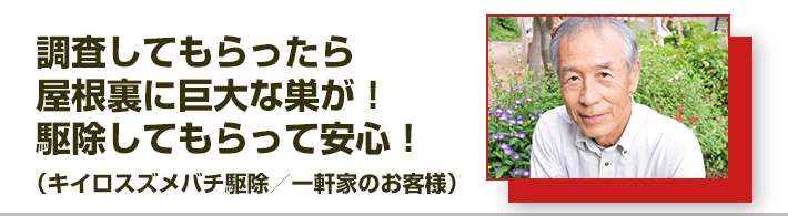 調査してもらったら屋根裏に巨大な巣が！駆除してもらって安心！（キイロスズメバチ駆除／一軒家のお客様）